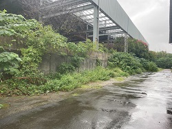桃園平鎮區割草