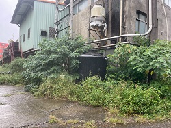 桃園平鎮區割草