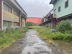 桃園平鎮區割草