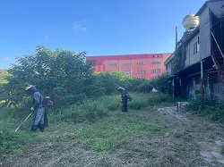 桃園平鎮區割草