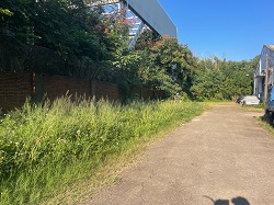 桃園平鎮區割草
