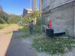 桃園平鎮區割草