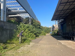 桃園平鎮區割草