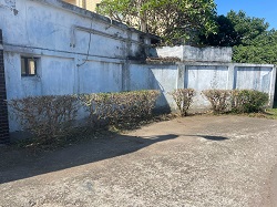 桃園平鎮區割草