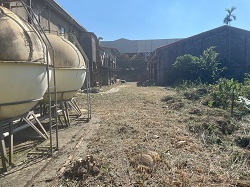 桃園平鎮區割草