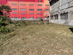 桃園平鎮區割草
