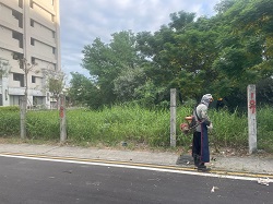 桃園區割草