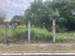 桃園區割草
