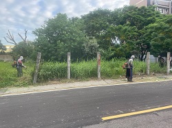 桃園區割草