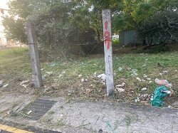桃園區割草