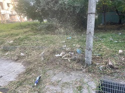 桃園區割草