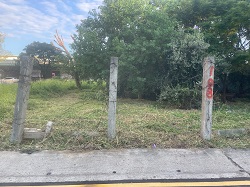 桃園區割草
