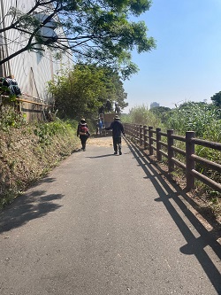 觀音區廠房樹木鋸除，環境整理