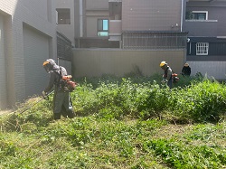 桃園觀音區割草