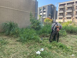 桃園觀音區割草