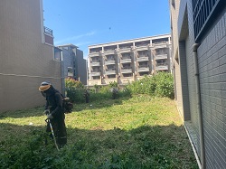 桃園觀音區割草