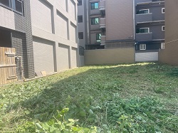 桃園觀音區割草