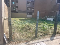 桃園觀音區割草