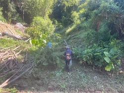 桃園龜山區除草作業