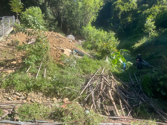桃園龜山區除草