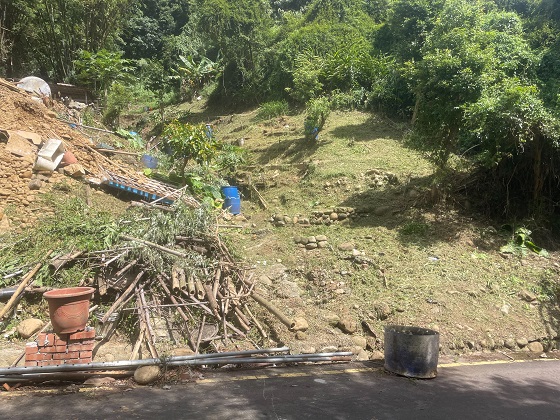 桃園龜山區除草