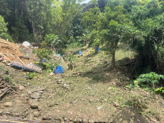 桃園龜山區除草