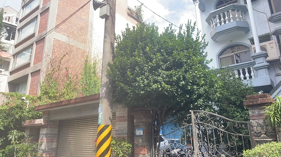 平鎮樹木修剪