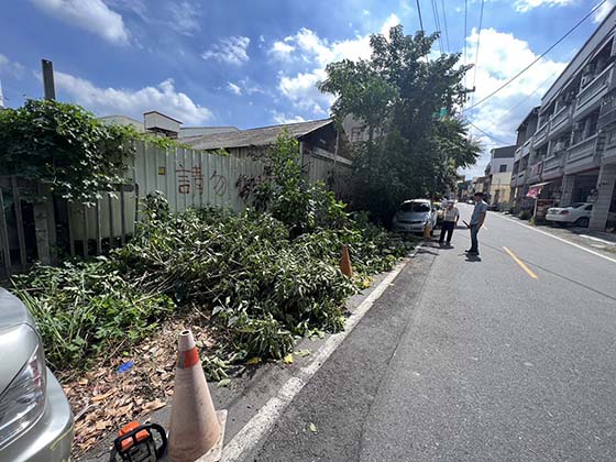 彰化樹木修剪