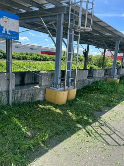 台中大肚割草