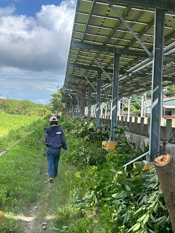 台中大肚割草