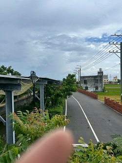 台中大肚除草