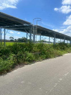 台中大肚除草