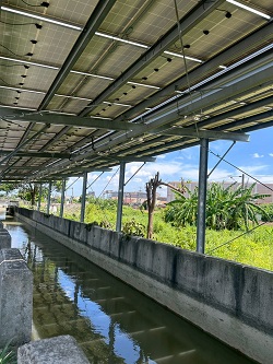 台中大肚除草