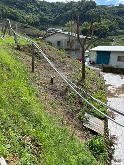 台中后里割草