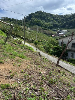 台中后里割草