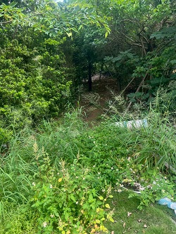 台中后里割草