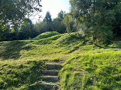 台中后里割草