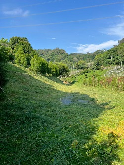 台中后里割草