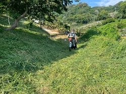 台中后里割草