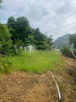 台中后里割草