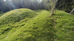 台中后里除草