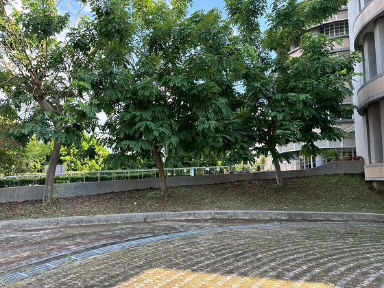 南投縣除草