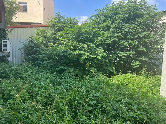 彰化溪湖割草