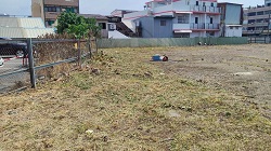 彰化市割草