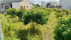 彰化社頭割草