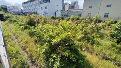彰化社頭割草