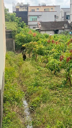彰化社頭割草