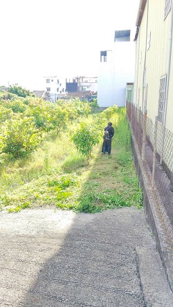 彰化社頭割草