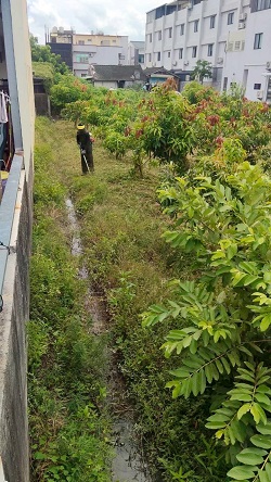彰化社頭除草