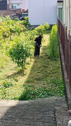 彰化社頭除草